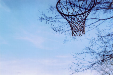 basketball net